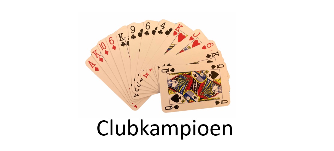 Clubkampioenen gehuldigd